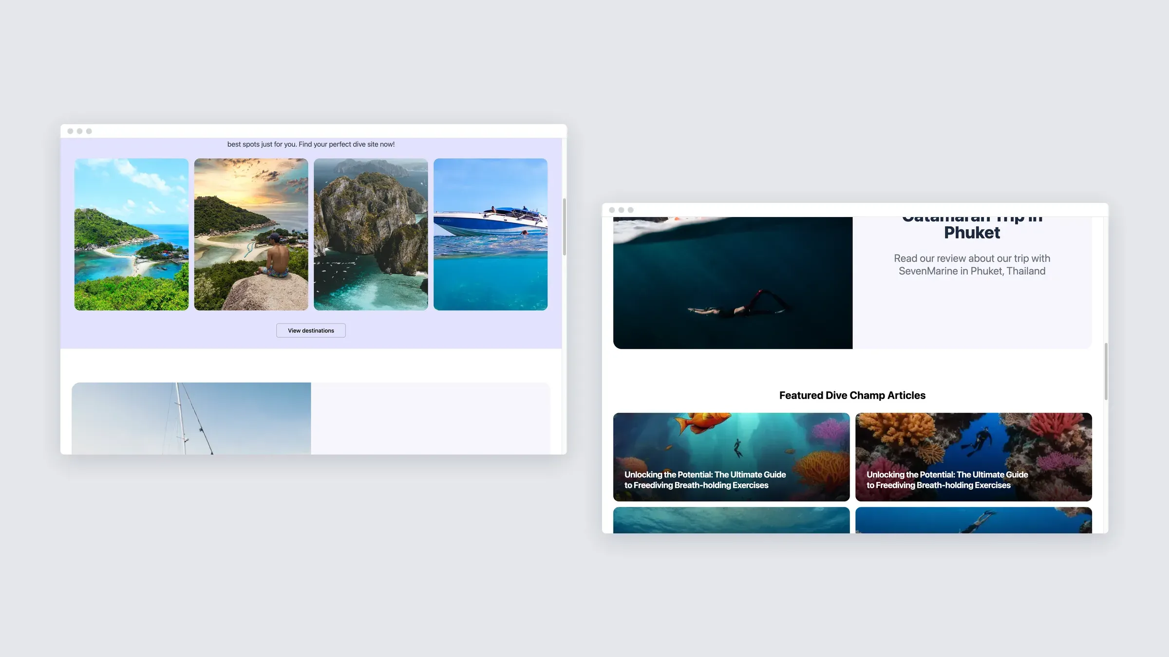 Two further sections of the Dive Champ site on desktop